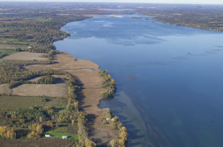 Aerial Canoga Marsh Looking North