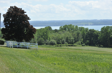 Long View Of Lake 3