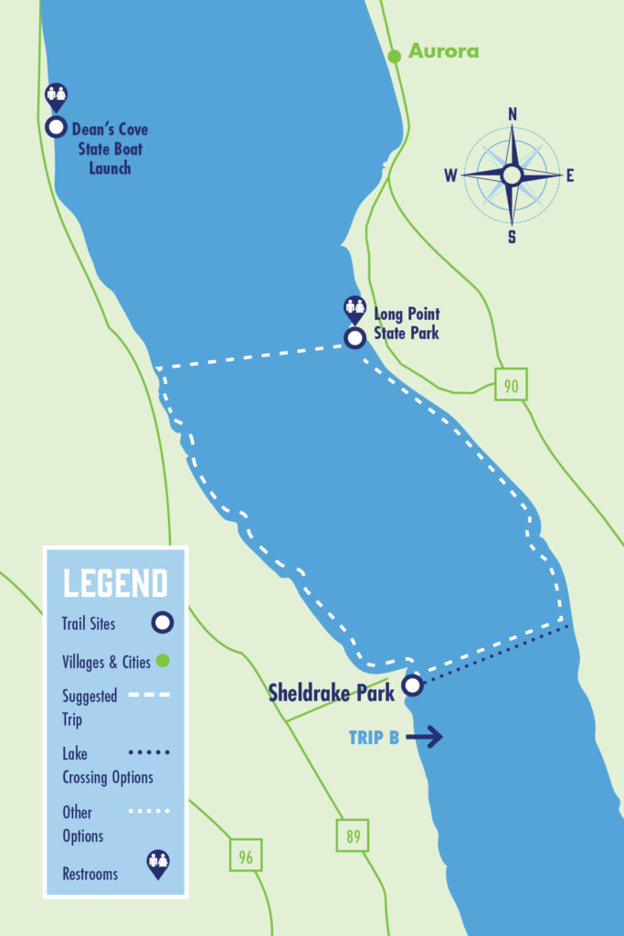 Sheldrake Trip B